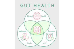 Metabolism, Hormone and Gut Connection